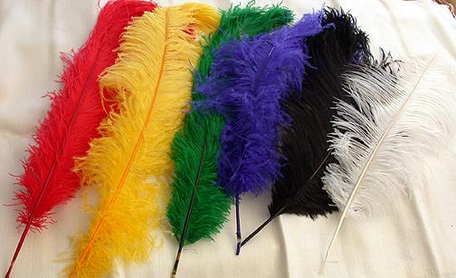 Ostrich Plumes